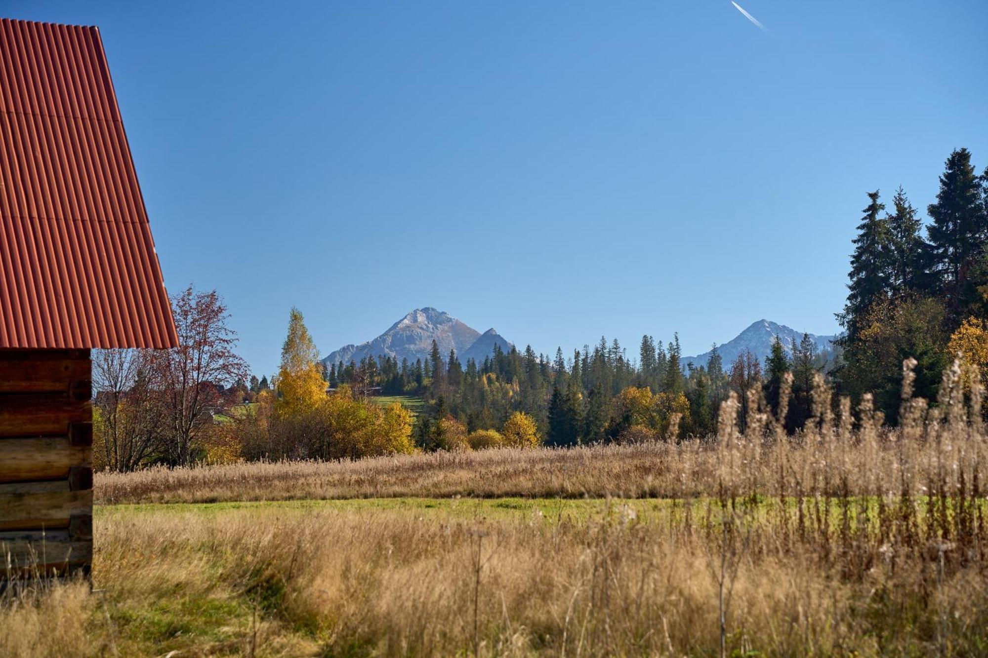 Domek Slebodny Uplaz Zakopane Extérieur photo