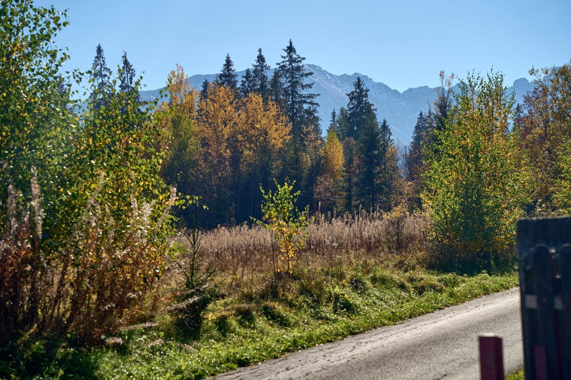 Domek Slebodny Uplaz Zakopane Extérieur photo
